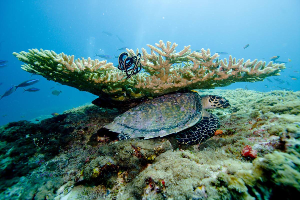 Maldives water villa and luxury island experience